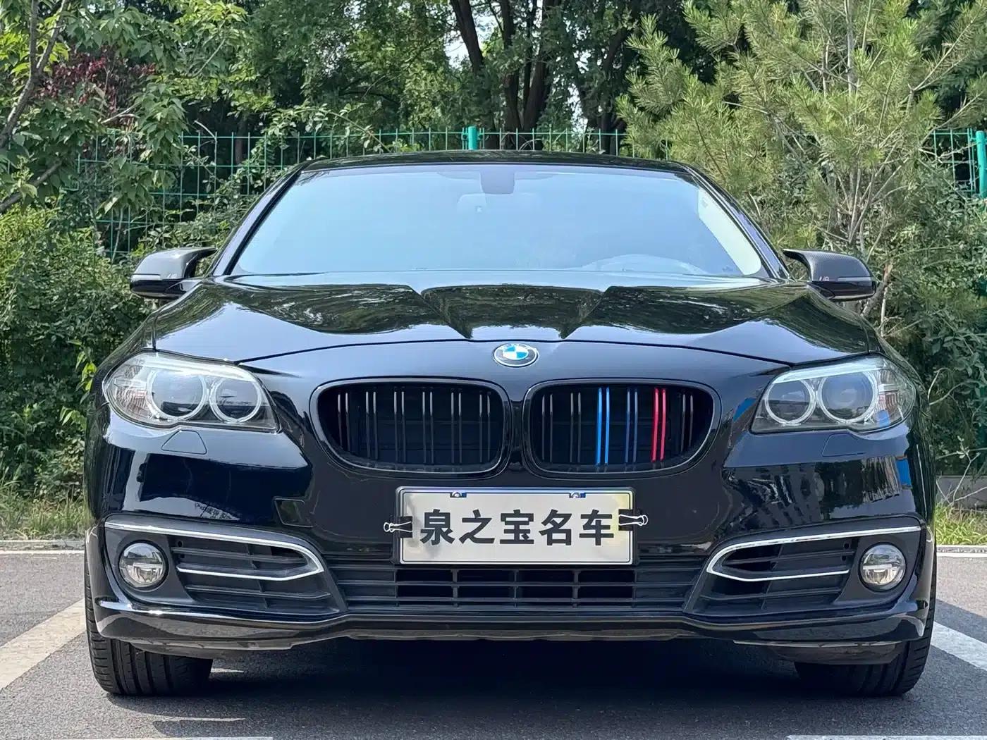 2014 BMW 5 Series 525Li Luxury Design Package — миниатюра 2