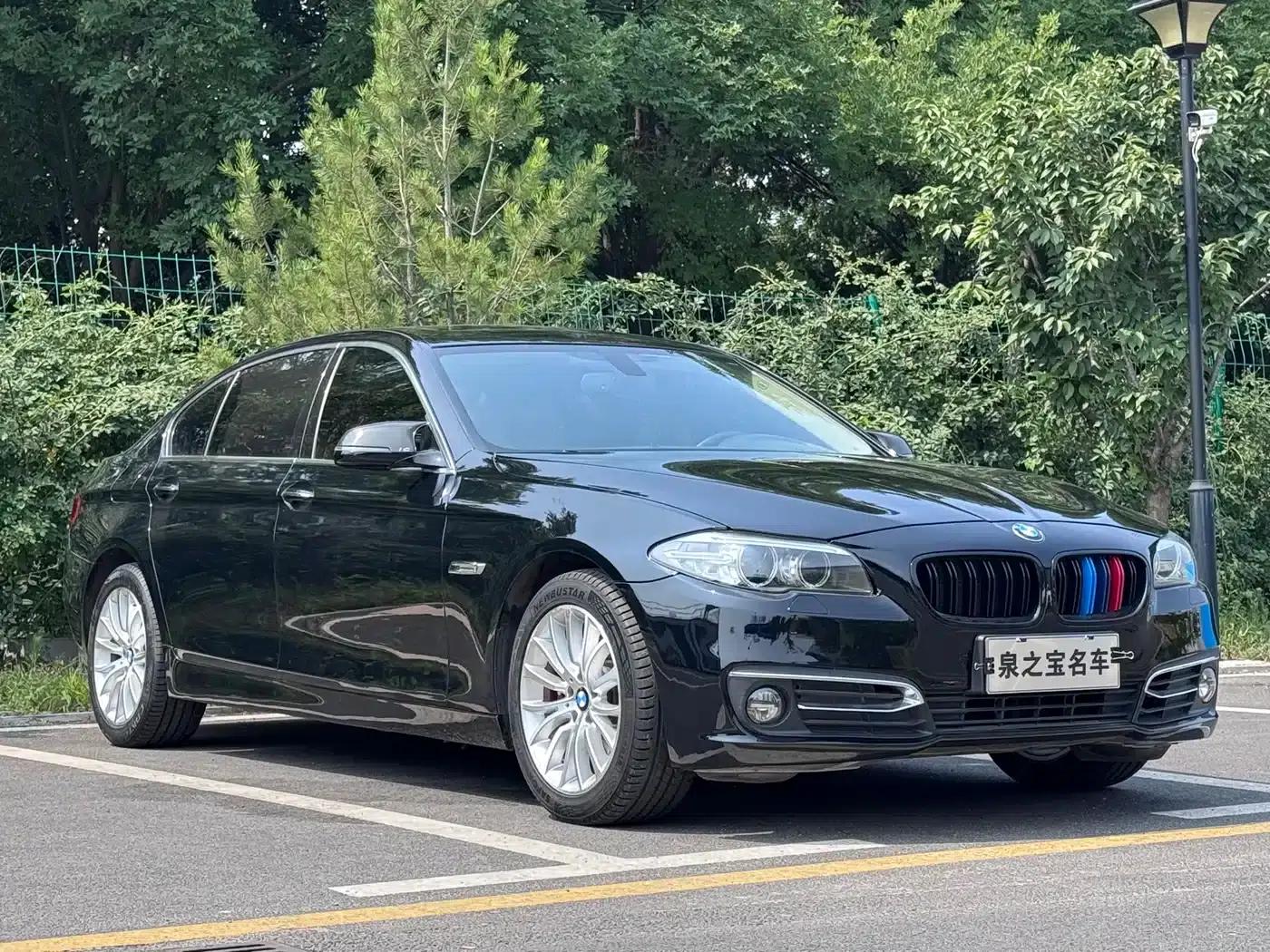 2014 BMW 5 Series 525Li Luxury Design Package — миниатюра 3