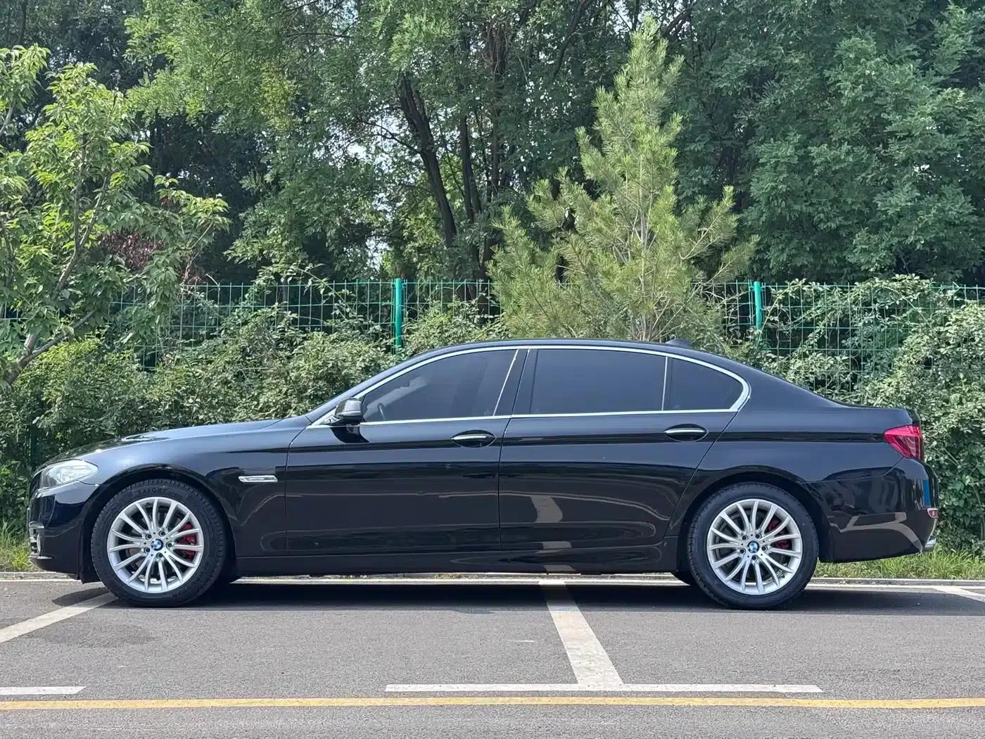 2014 BMW 5 Series 525Li Luxury Design Package — миниатюра 4