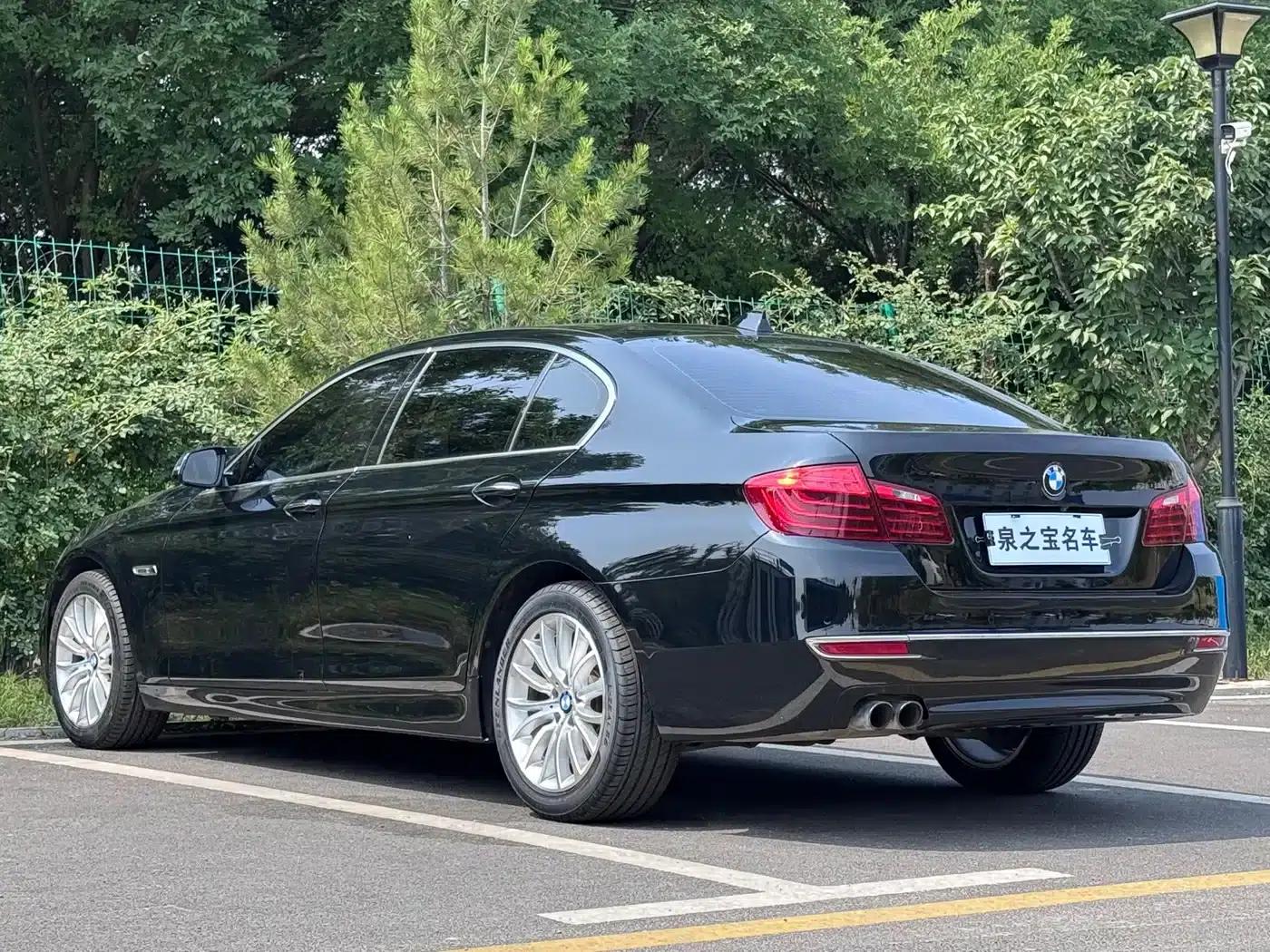 2014 BMW 5 Series 525Li Luxury Design Package — миниатюра 5