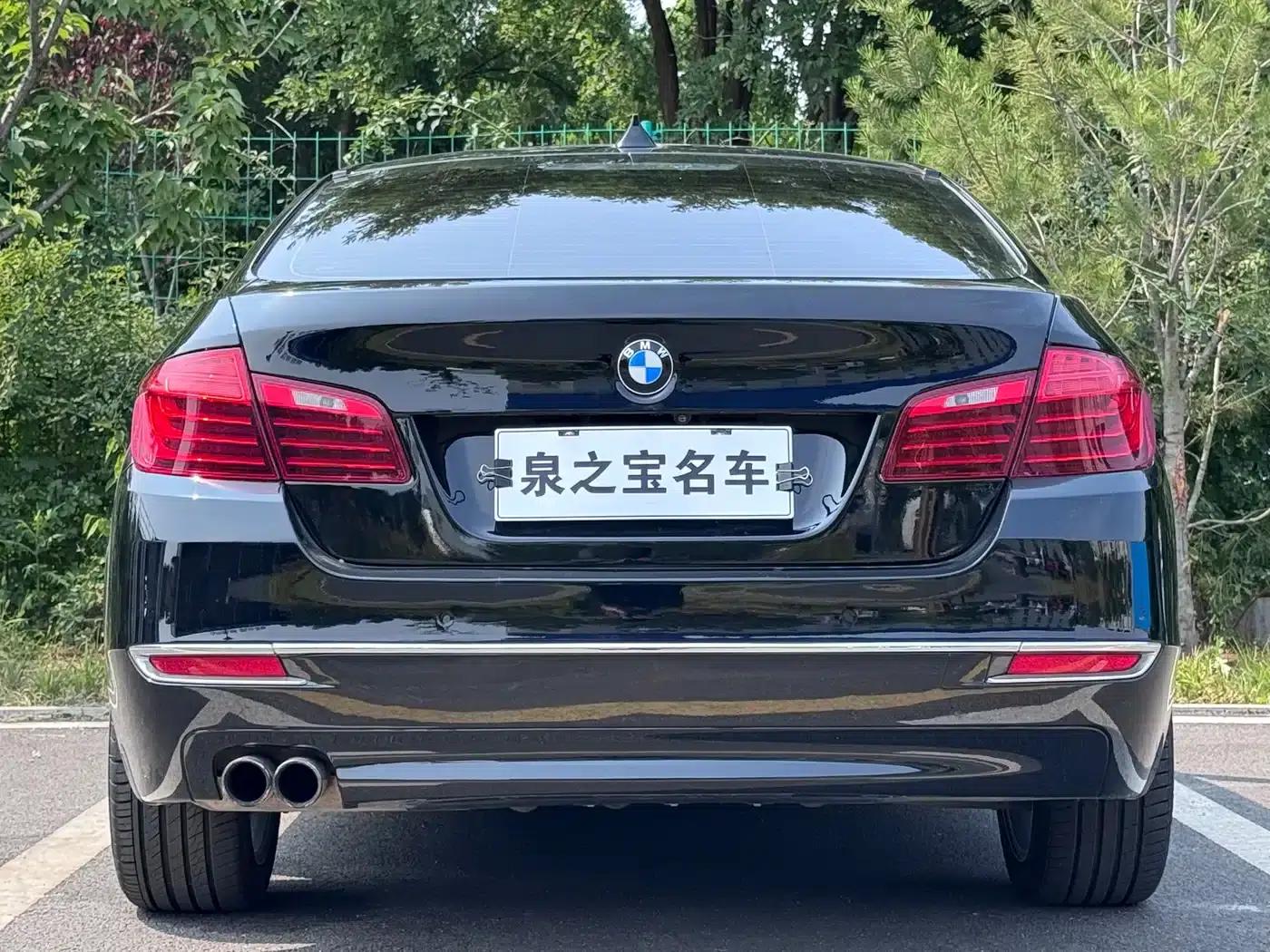 2014 BMW 5 Series 525Li Luxury Design Package — миниатюра 6