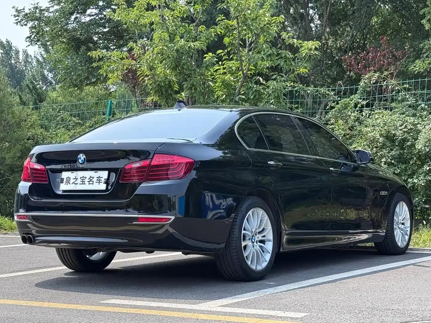 2014 BMW 5 Series 525Li Luxury Design Package — миниатюра 7