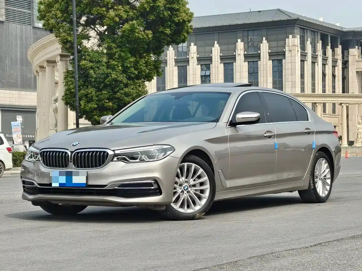 BMW 5 Series 2019 530Li Luxury Package — миниатюра 1