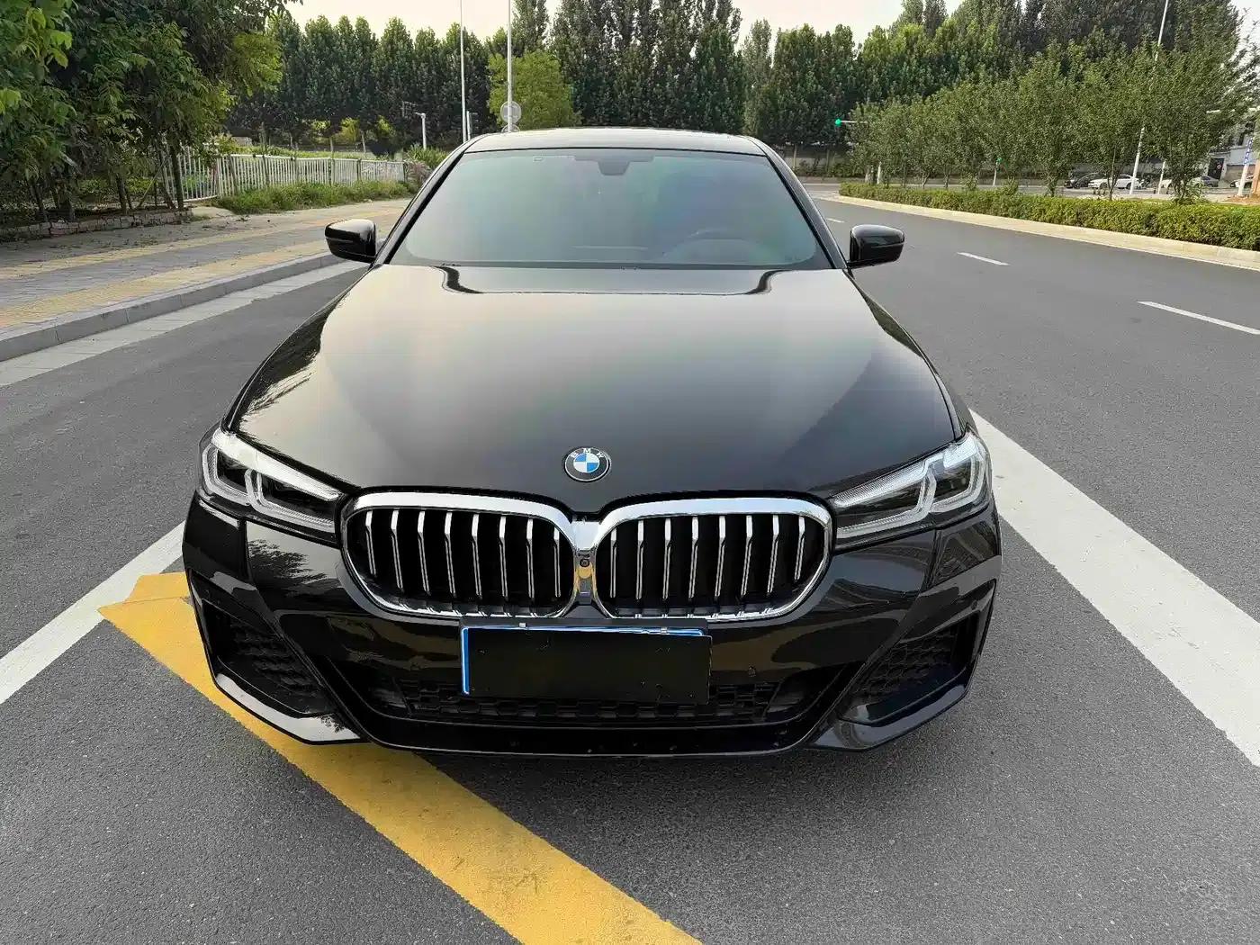 2018 BMW 5 Series 530Li Luxury M Sport Package — миниатюра 2
