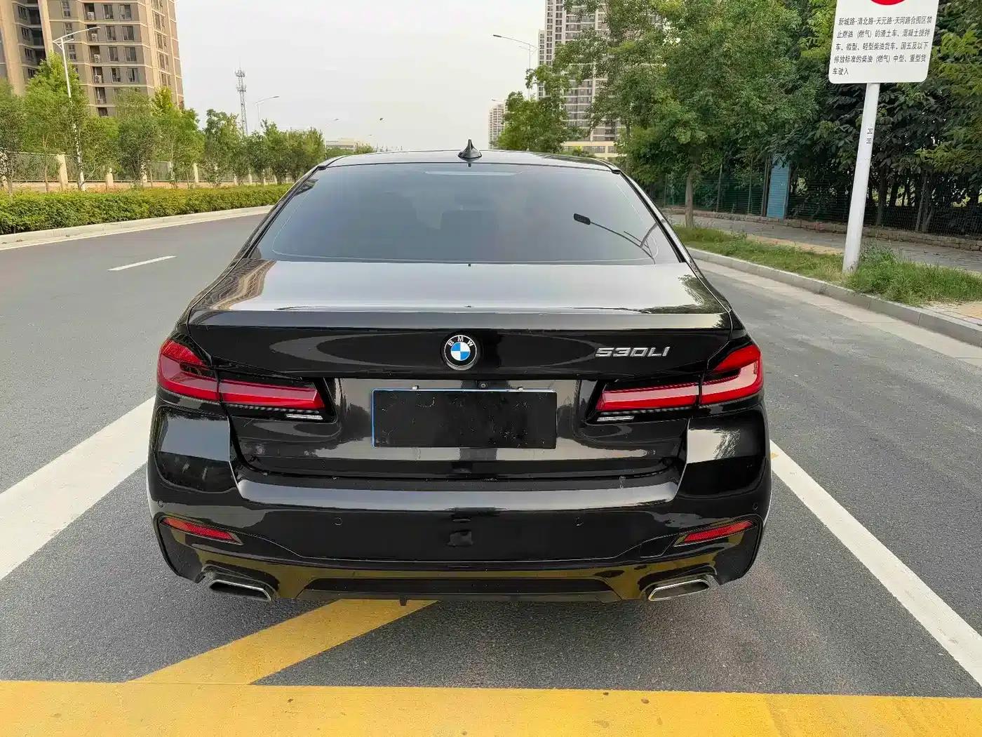 2018 BMW 5 Series 530Li Luxury M Sport Package — миниатюра 8