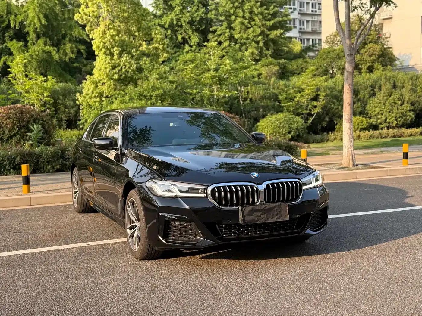 2022 BMW 5 Series 525Li Luxury Package — миниатюра 3