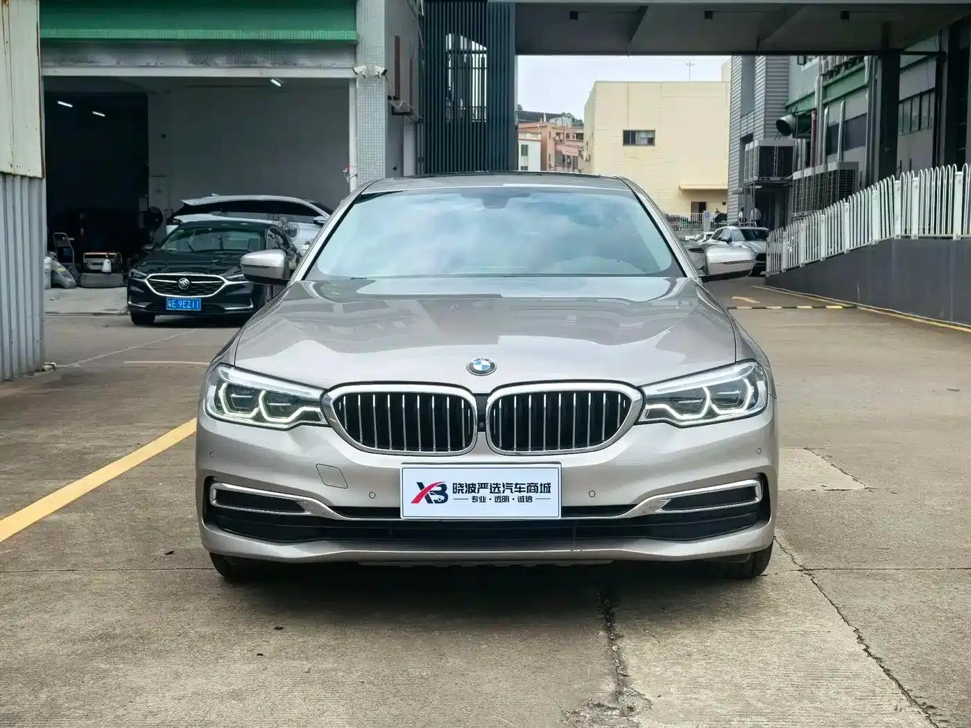 BMW 5 Series 2020 530Li Luxury Package — миниатюра 5