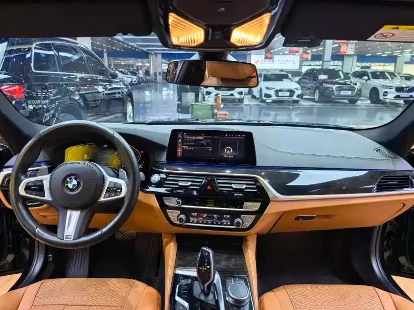 2020 BMW 5 Series 530Li Luxury M Sport Package — миниатюра 8