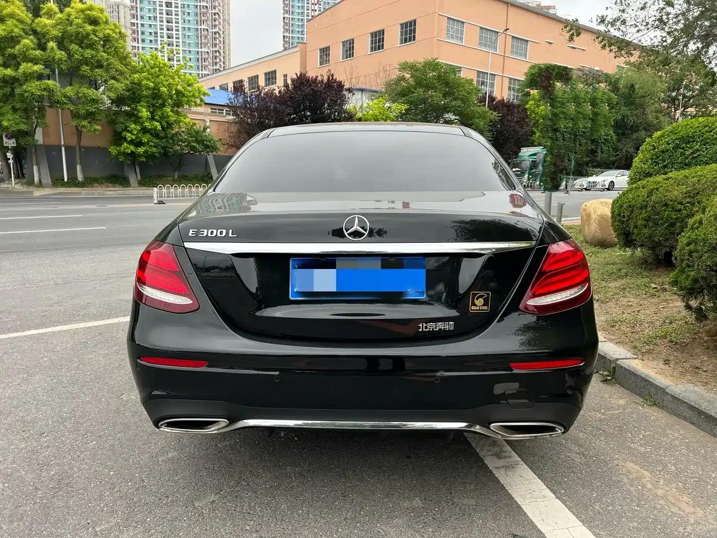 Mercedes-Benz E-Class 2020 E 300 L Sport Luxury — миниатюра 8