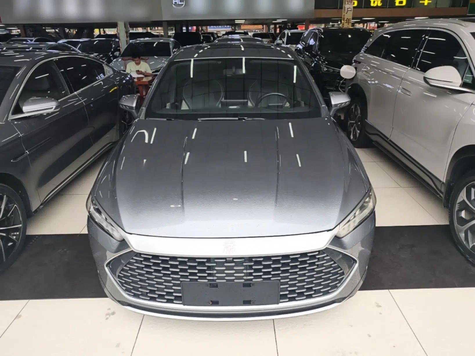 BYD Qin PLUS 2021 DM-i 55KM Flagship Model — миниатюра 2