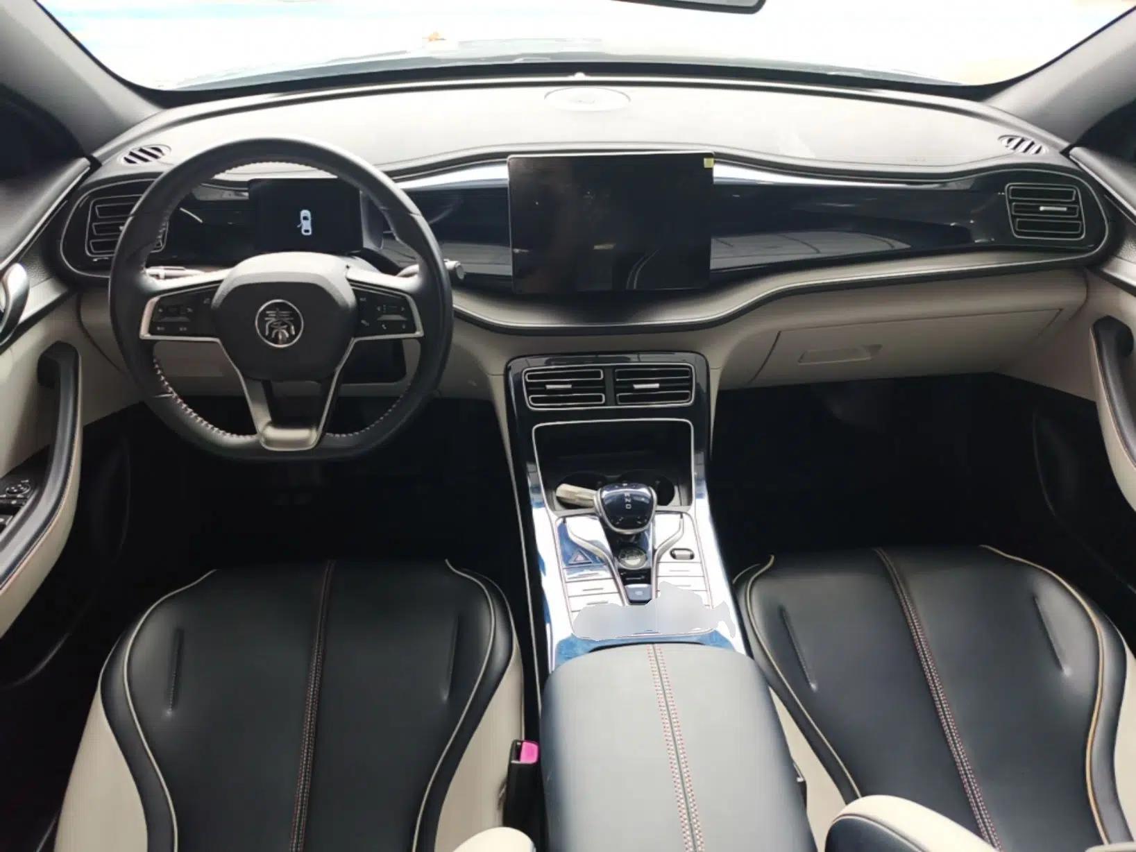 BYD Qin PLUS 2021 DM-i 55KM Flagship Model — миниатюра 12