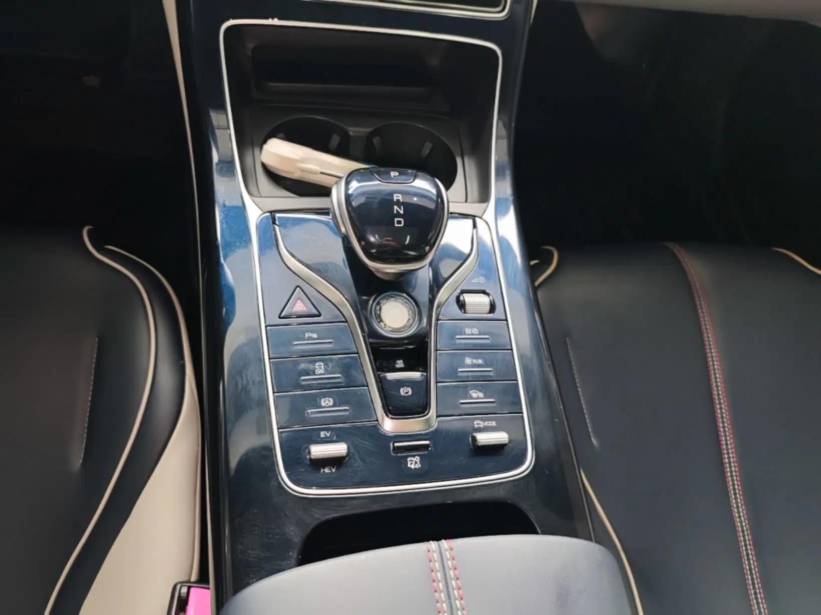 BYD Qin PLUS 2021 DM-i 55KM Flagship Model — миниатюра 16