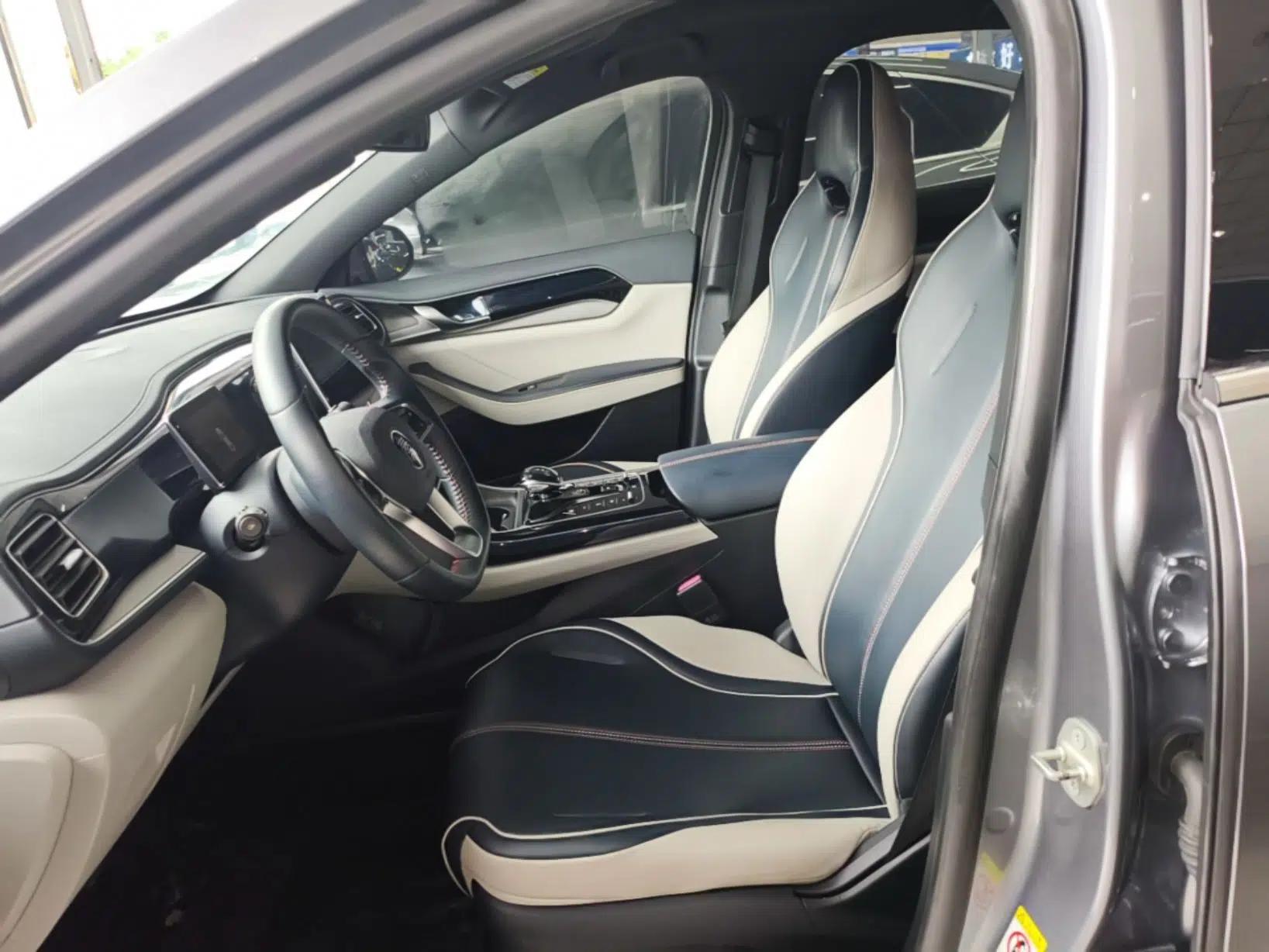 BYD Qin PLUS 2021 DM-i 55KM Flagship Model — миниатюра 17