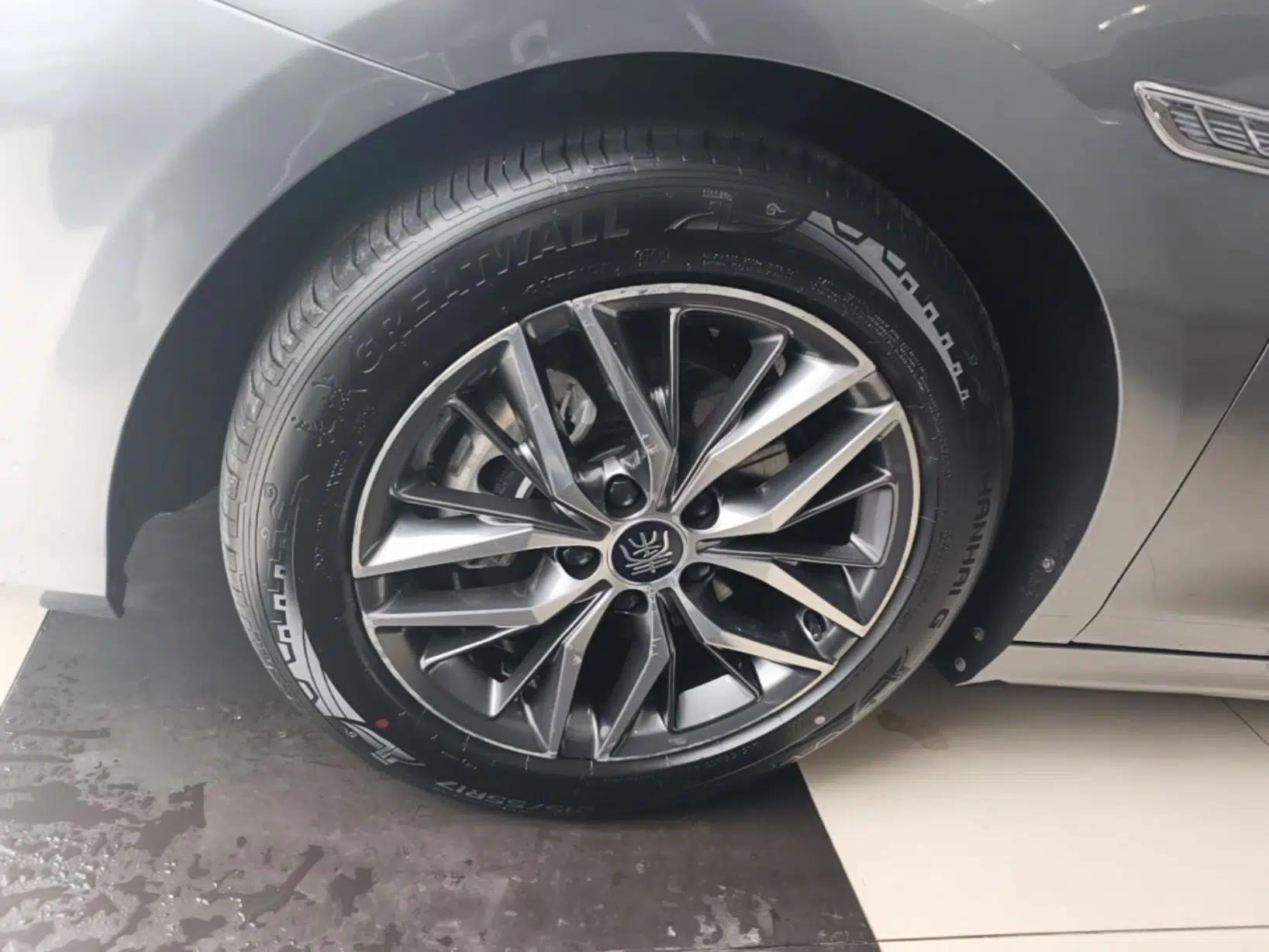 BYD Qin PLUS 2021 DM-i 55KM Flagship Model — миниатюра 10