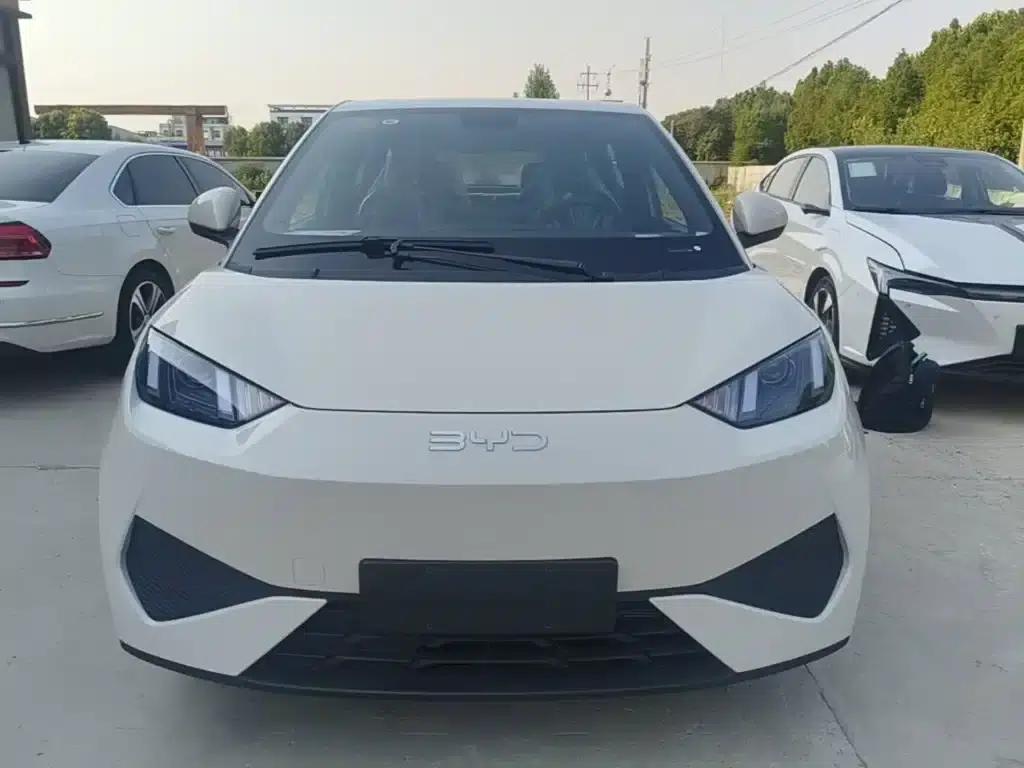 Seagull 2025 Smart Driving Edition 305km Vitality Edition — миниатюра 3