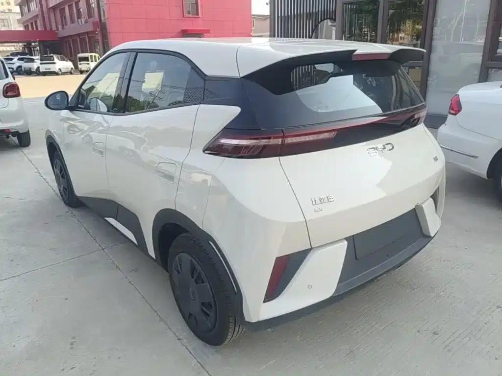 Seagull 2025 Smart Driving Edition 305km Vitality Edition — миниатюра 5