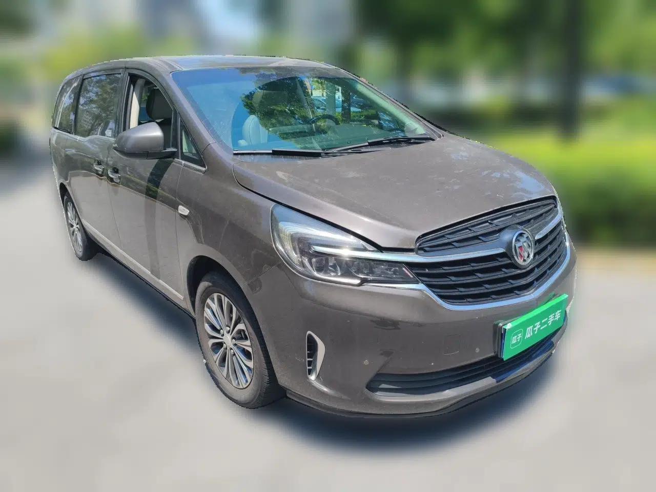Buick GL8 2020 Land Business Class 652T Luxury Model — миниатюра 3