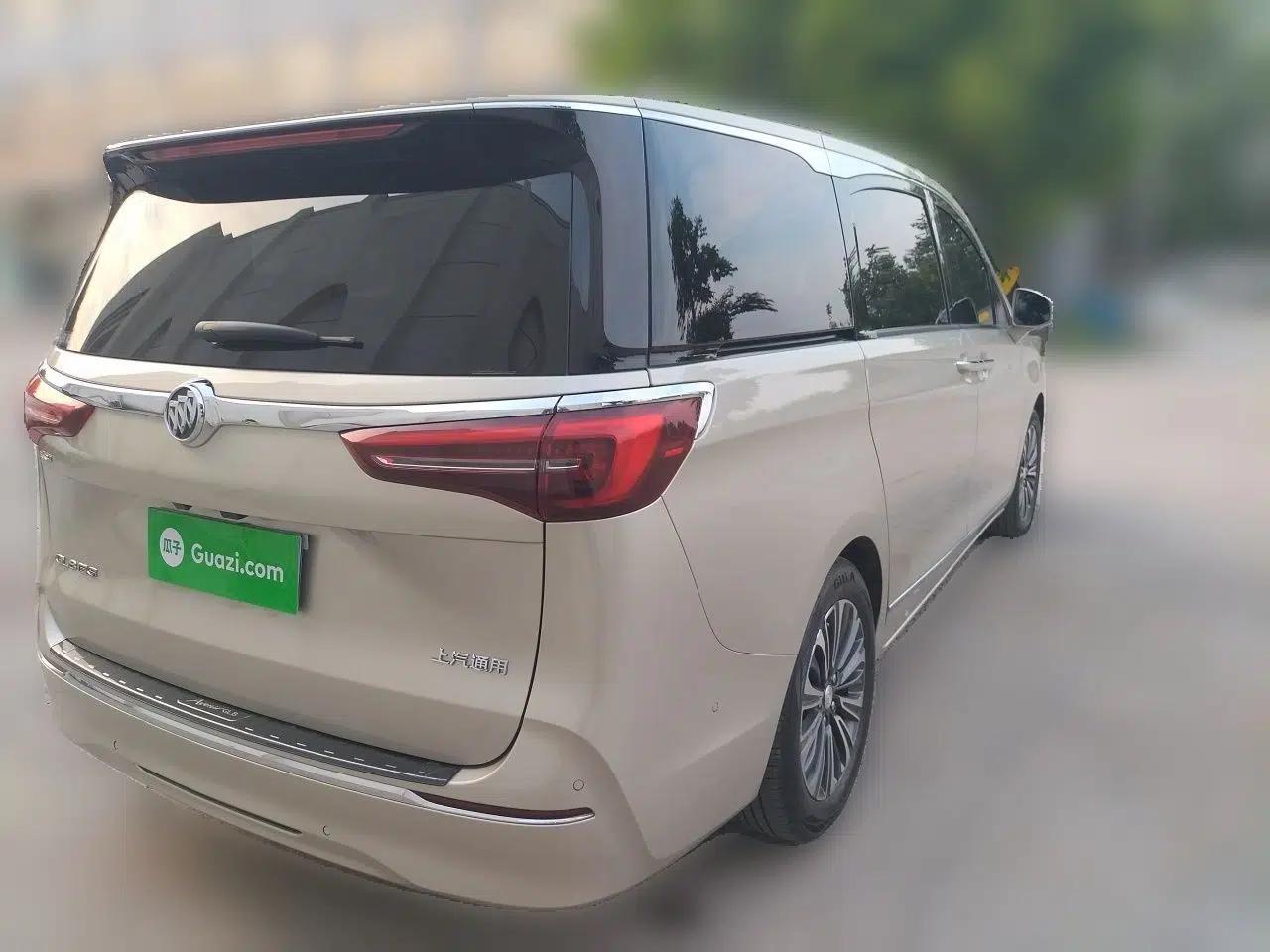 Buick GL8 2021 ES Land Cruiser 653T Flagship Model — миниатюра 6