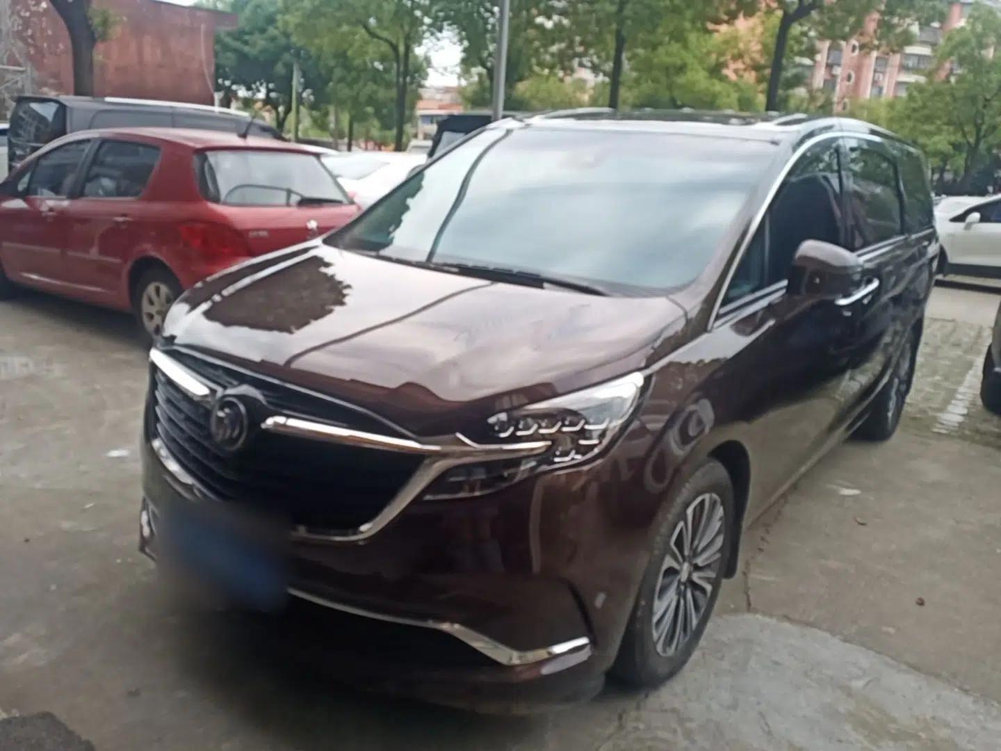 Buick GL8 2021 ES Landtrek 653T Luxury Model — миниатюра 1