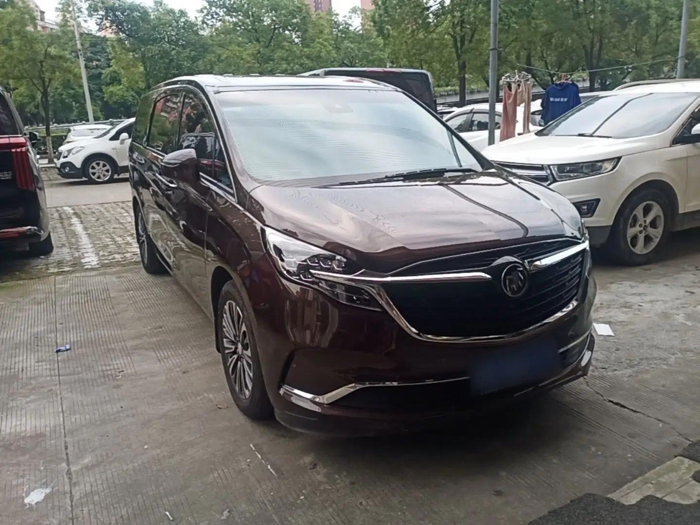 Buick GL8 2021 ES Landtrek 653T Luxury Model — миниатюра 3