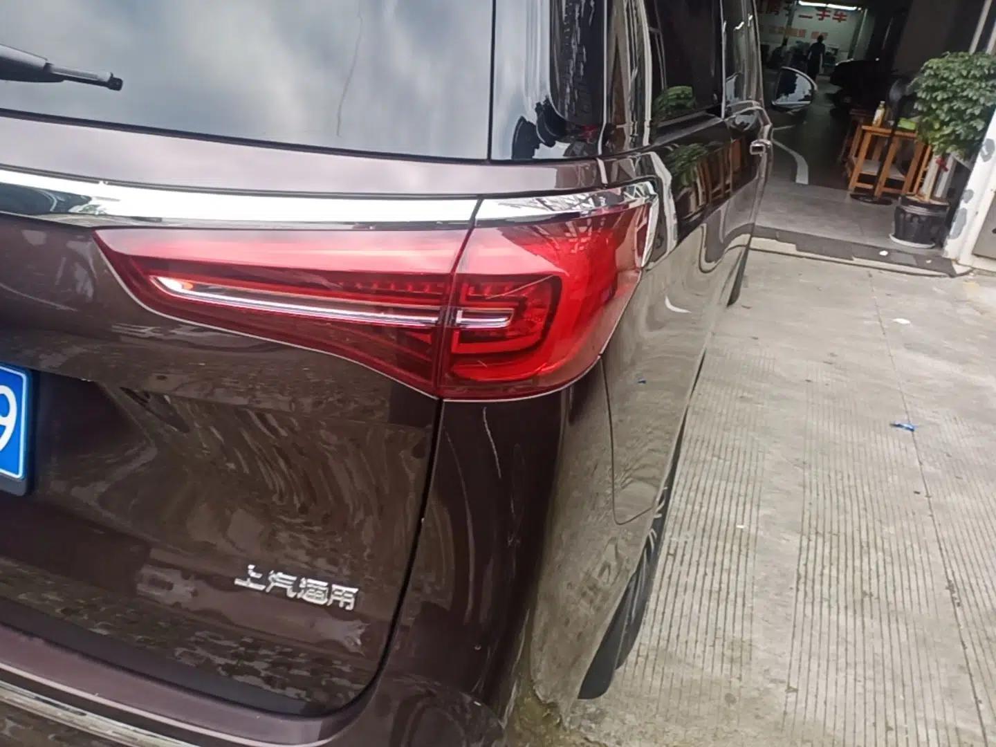 Buick GL8 2021 ES Landtrek 653T Luxury Model — миниатюра 9