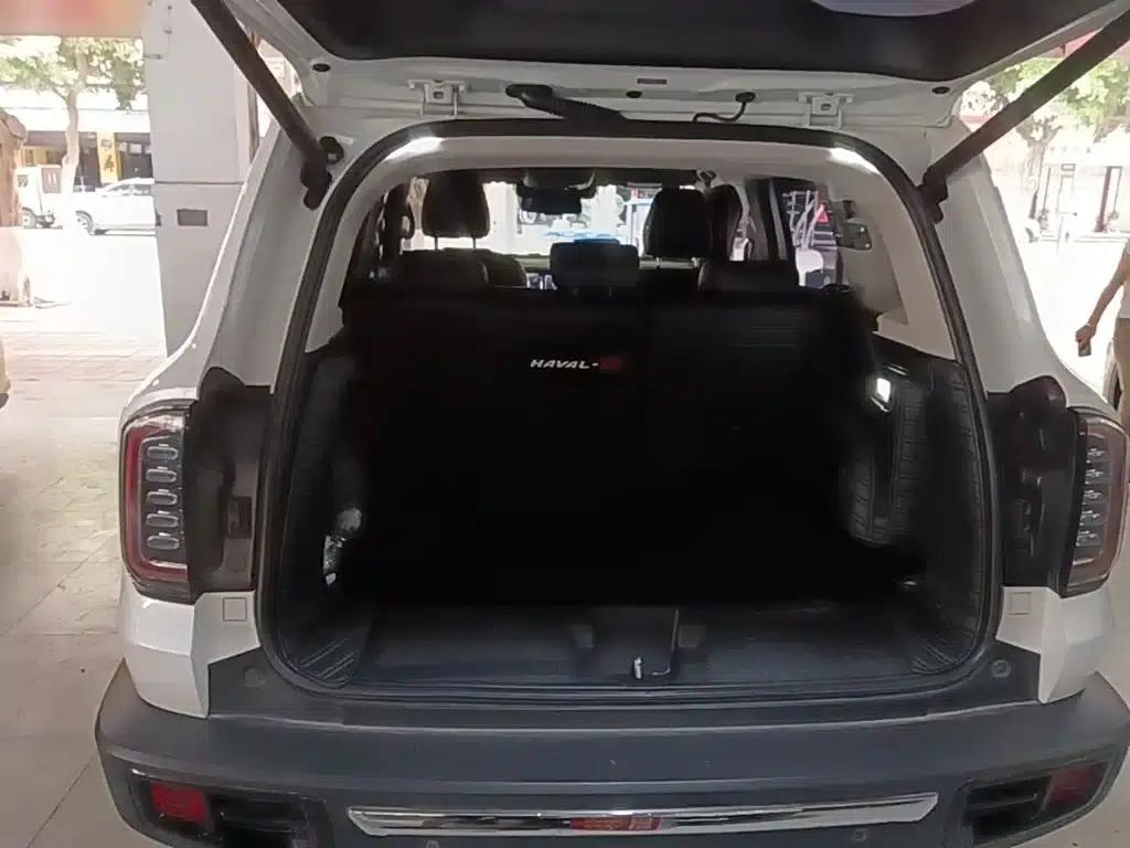 Haval Big Dog 2021 2.0T DCT 4WD Howling Dog Edition — миниатюра 19