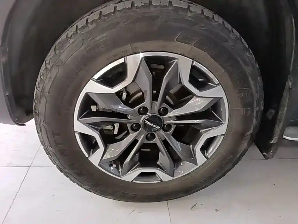 Haval Big Dog 2021 2.0T DCT 4WD Howling Dog Edition — миниатюра 23