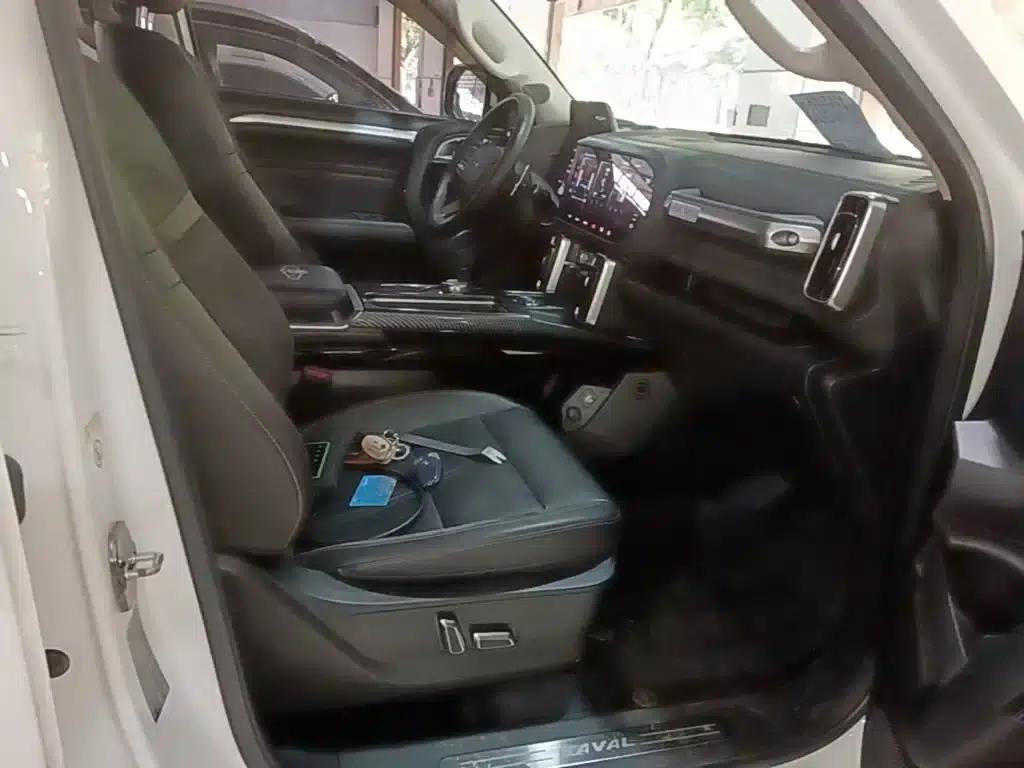 Haval Big Dog 2021 2.0T DCT 4WD Howling Dog Edition — миниатюра 25
