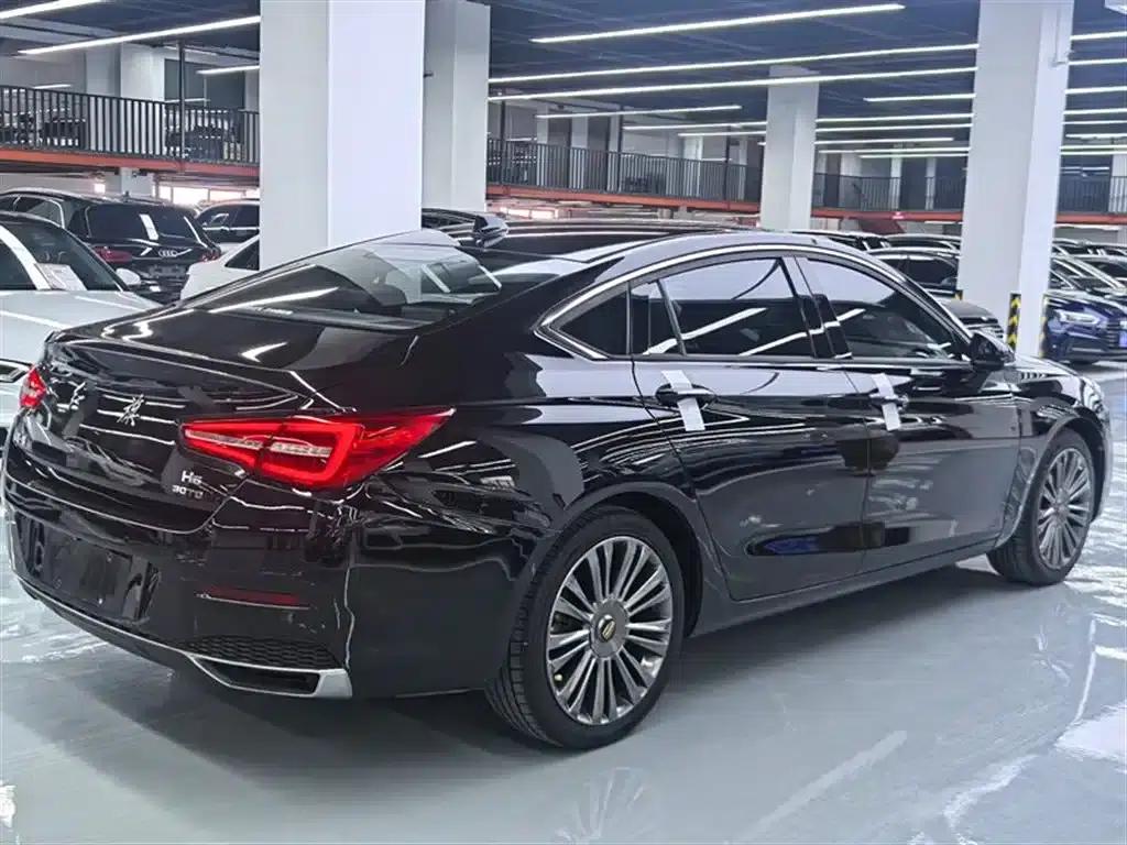 Hongqi H5 2020 1.5T DCT Flag Edition — миниатюра 19