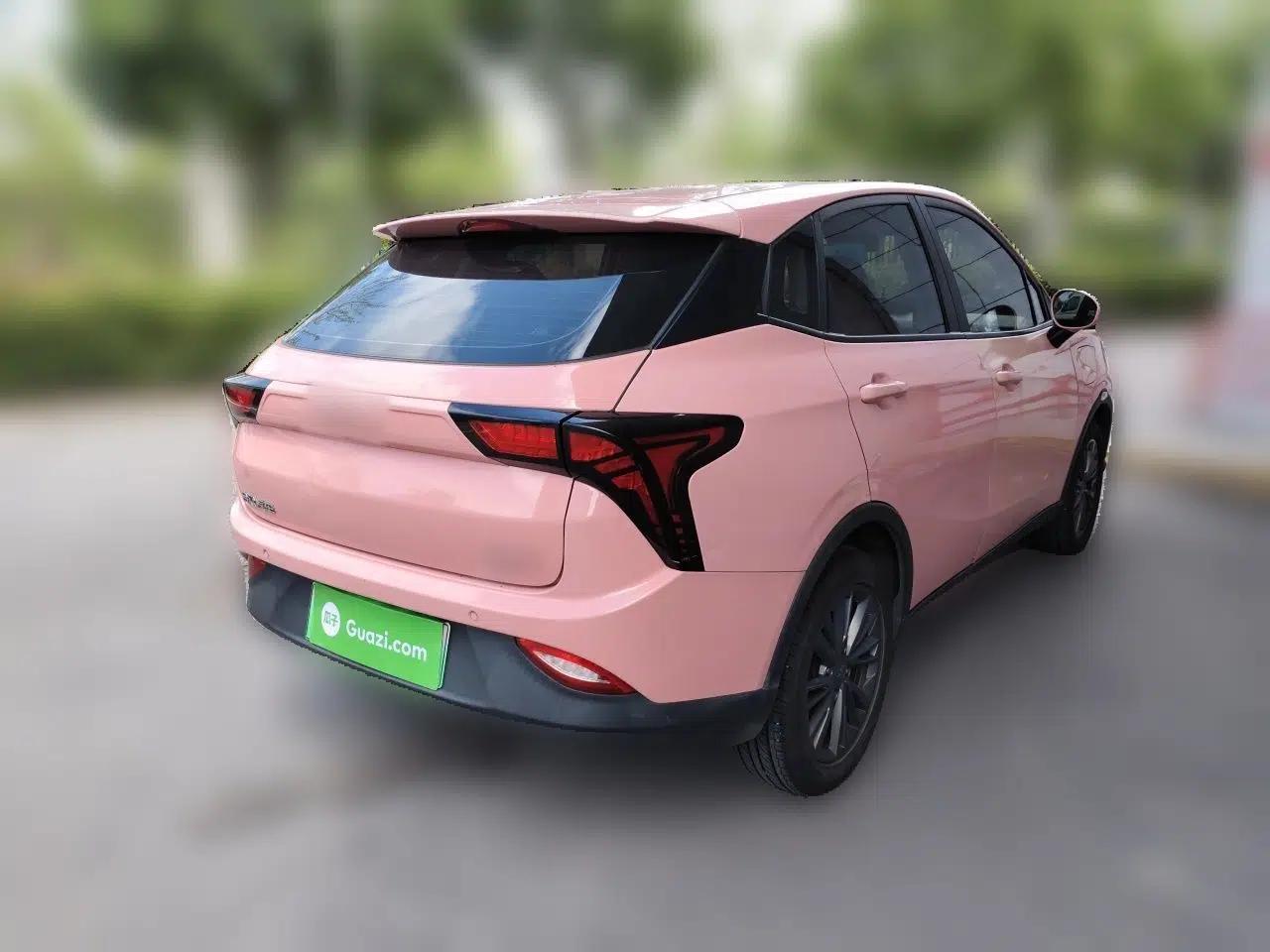NETA V 2021 Long-Range Industry Custom Edition — миниатюра 6