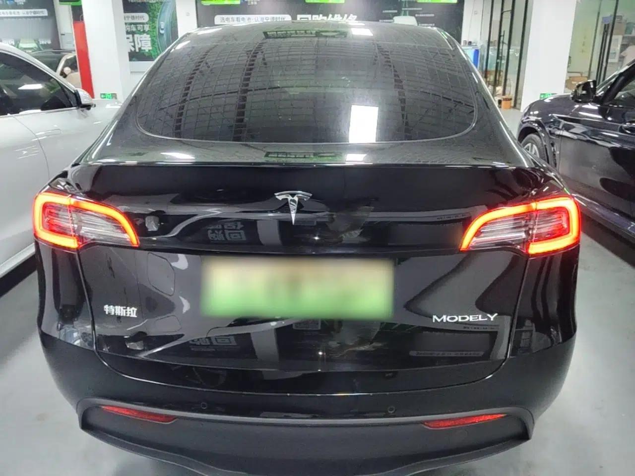 Tesla Model Y 2022 Revised Version Long-Range All-Wheel Drive — миниатюра 5