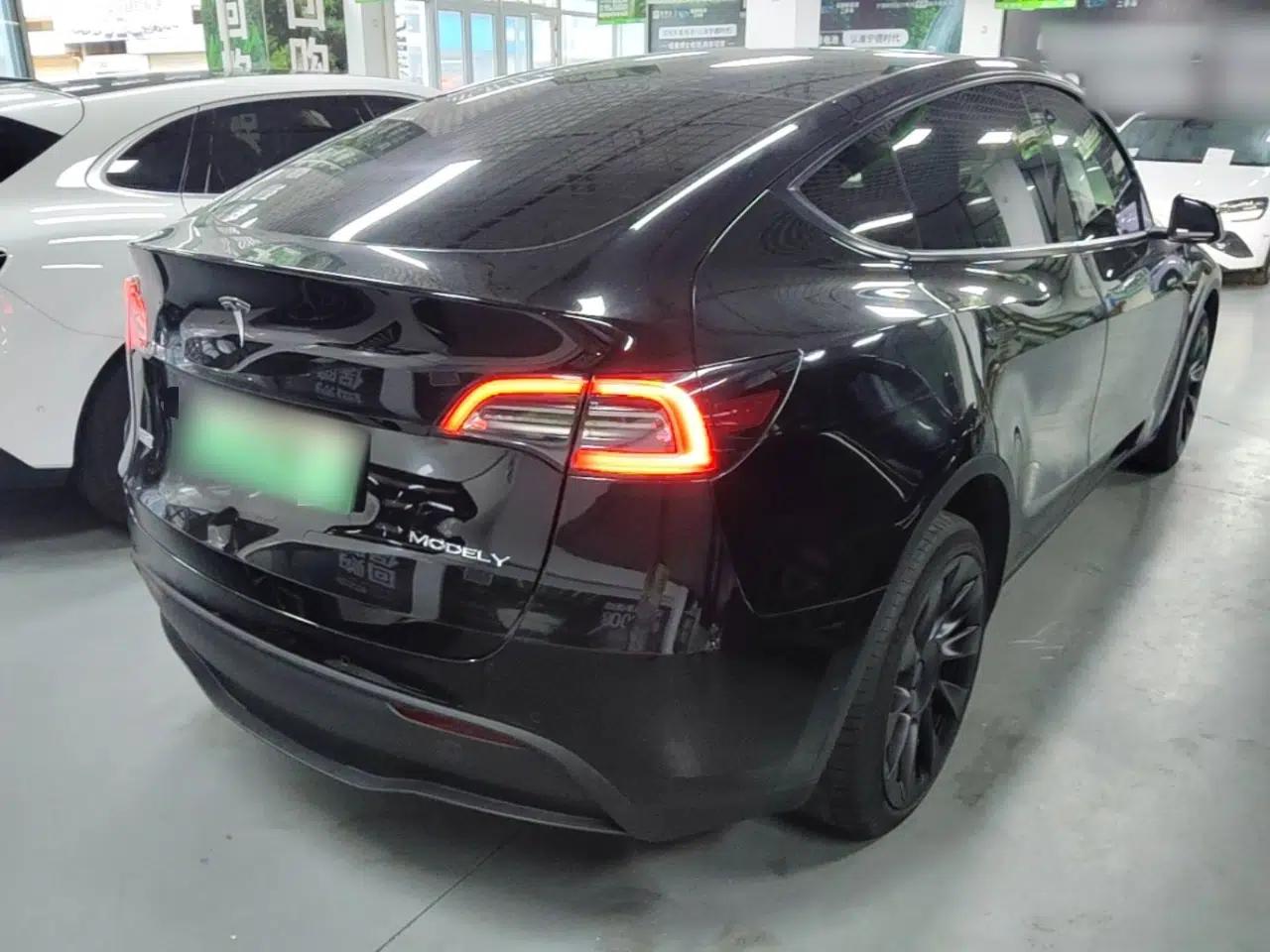 Tesla Model Y 2022 Revised Version Long-Range All-Wheel Drive — миниатюра 6