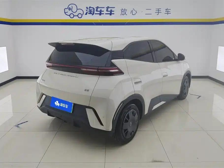Seagull 2023 Vitality Edition — миниатюра 3