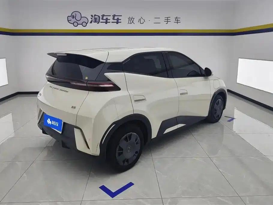Seagull 2024 Glory Edition 305km/h Vitality Edition — миниатюра 3