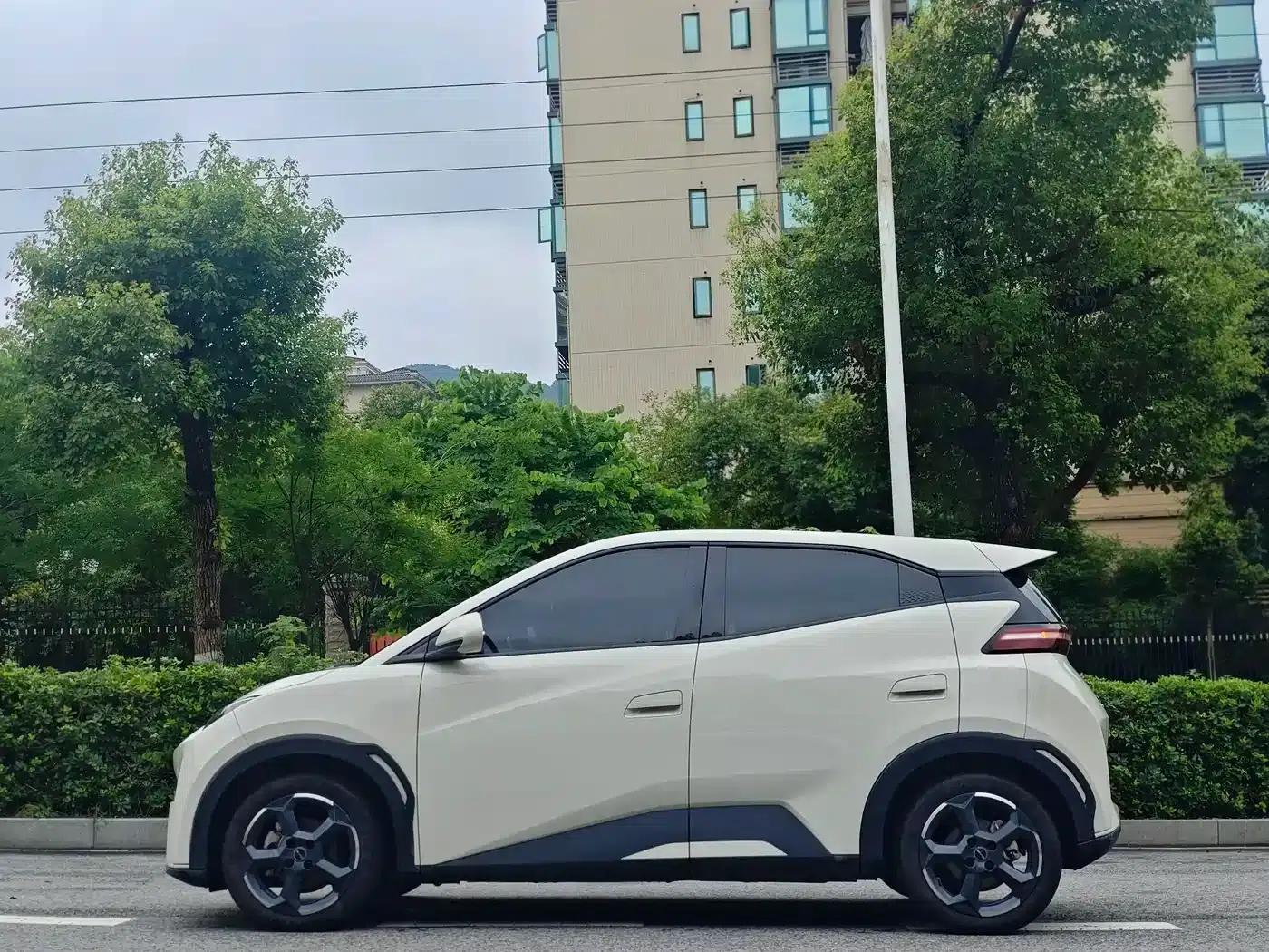 Seagull 2023 Freedom Edition — миниатюра 4