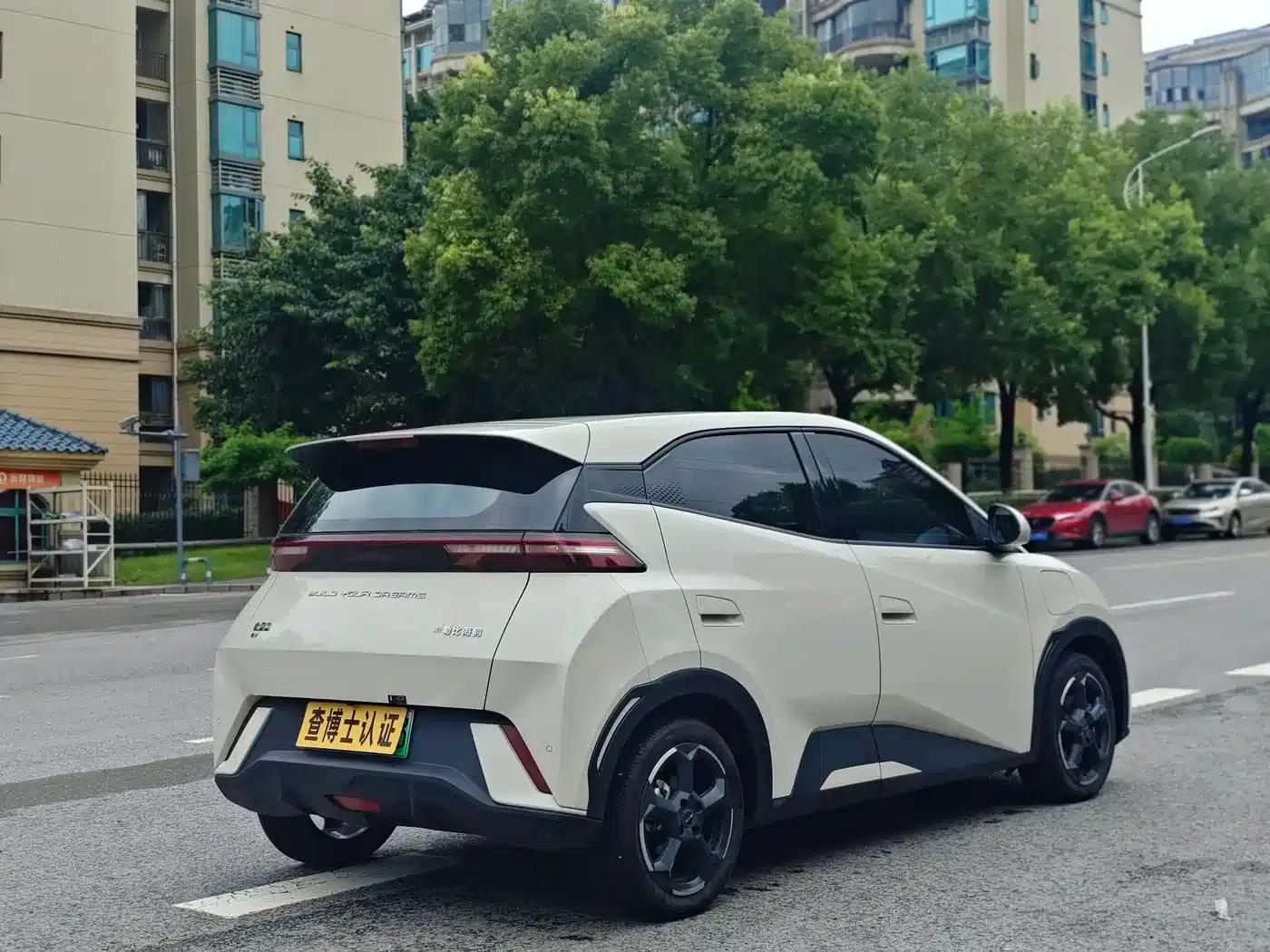 Seagull 2023 Freedom Edition — миниатюра 5