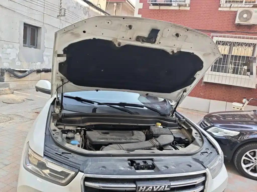 Haval H6 2020 2.0GDIT Automatic Platinum Champion Edition — миниатюра 11