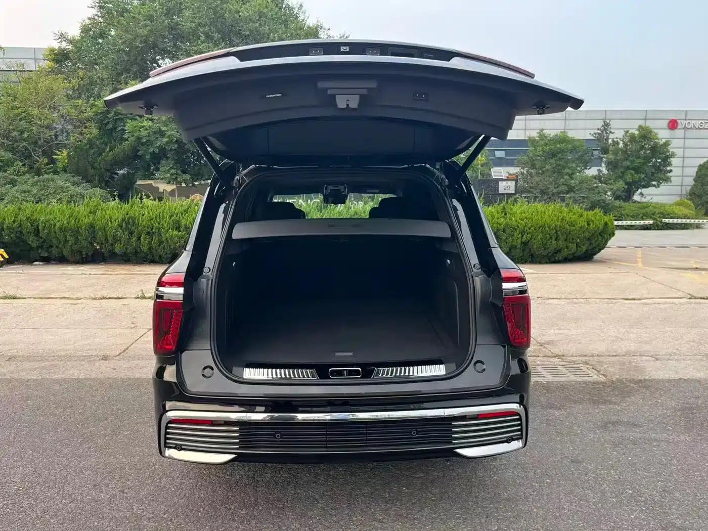 Hongqi Golden Sunflower National Glory 2022 4.0T Premium Flagship Edition 4-seater — миниатюра 5