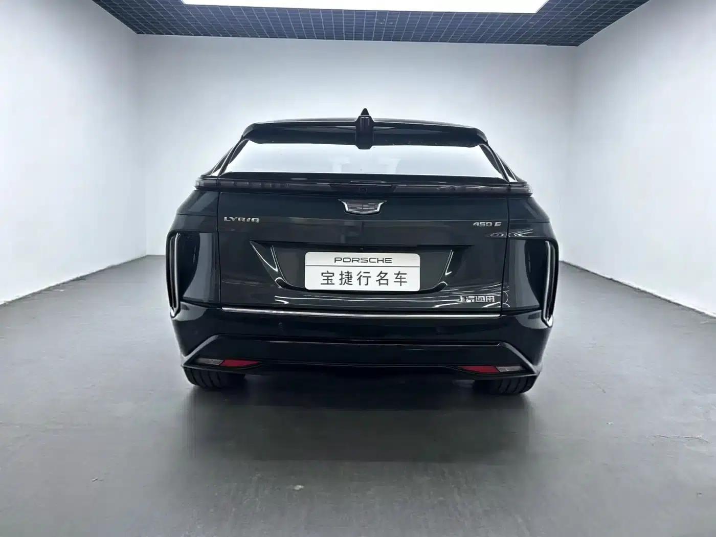 iQ Ruige 2022 Rear-Wheel Drive Long-Range Luxury Edition — миниатюра 4