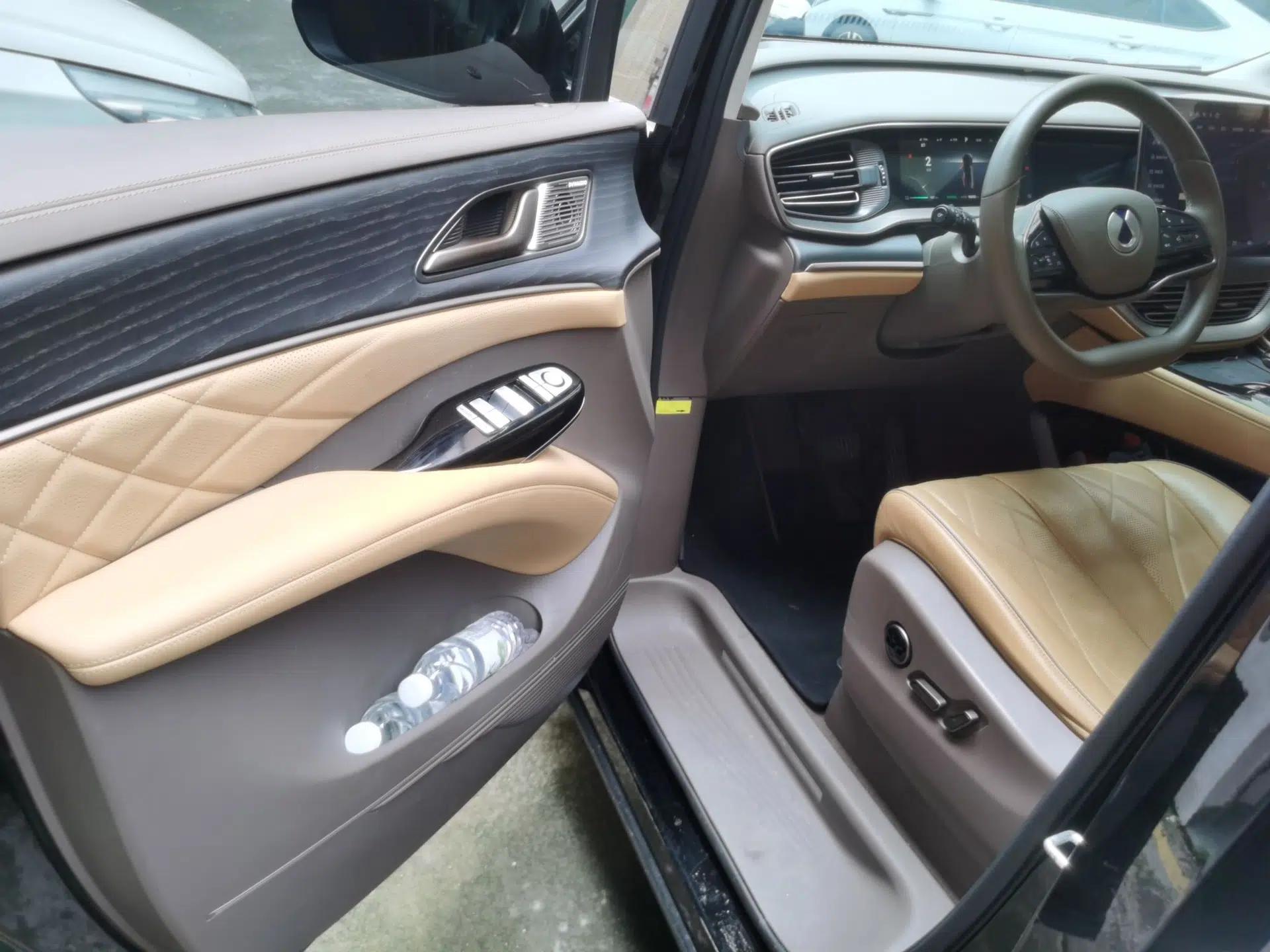 Denza D9 2022 DM-i 970 Four-Wheel Drive Flagship Model — миниатюра 16