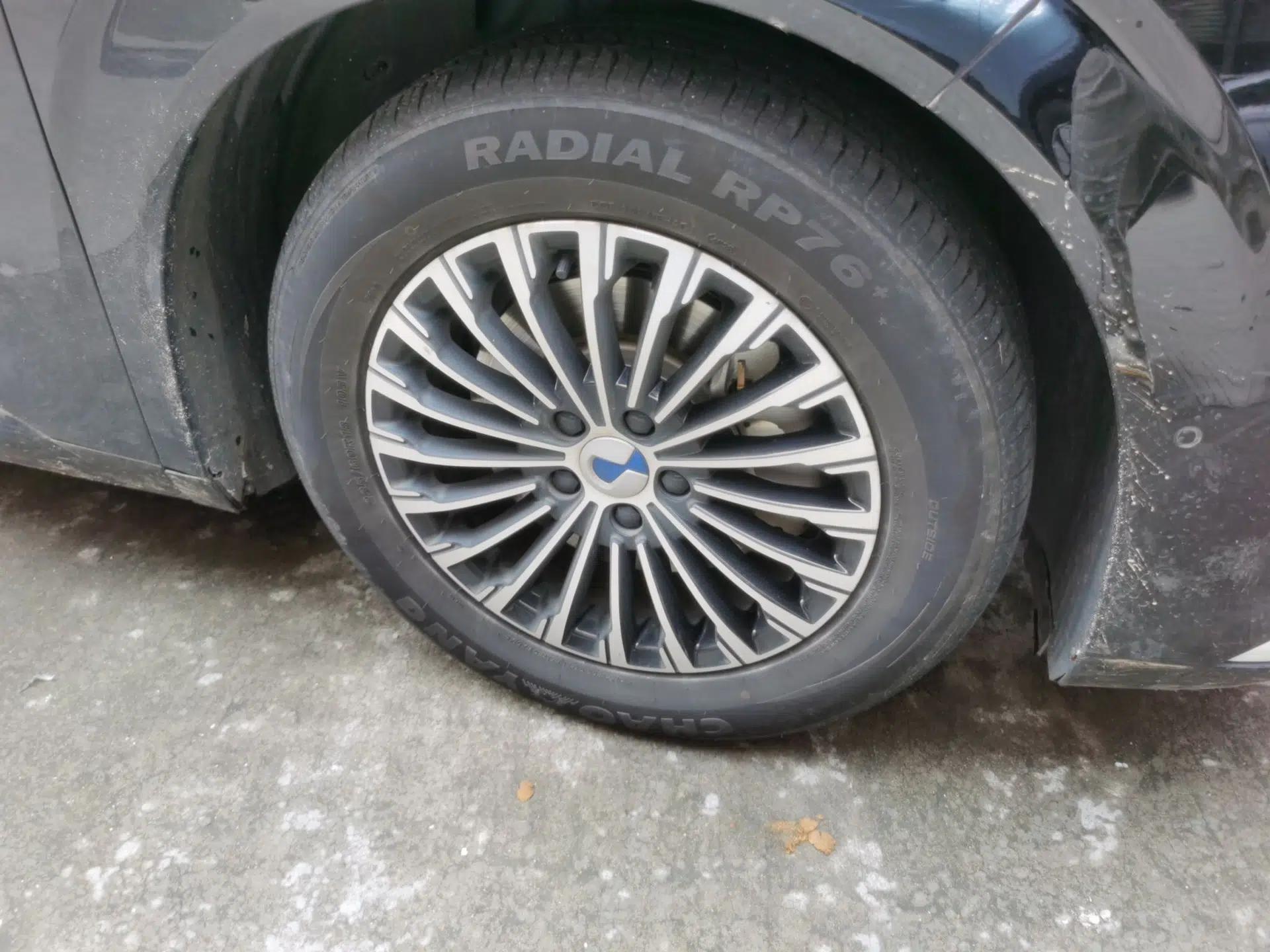 Denza D9 2022 DM-i 970 Four-Wheel Drive Flagship Model — миниатюра 8