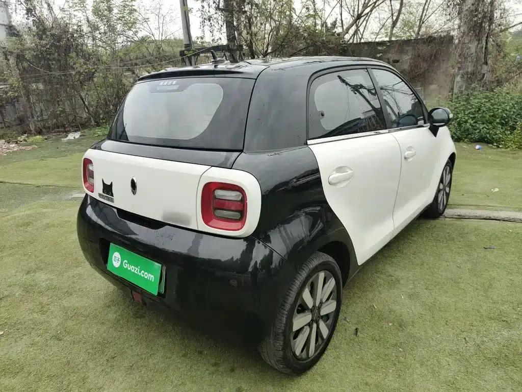 ORA Black Cat 2021 Model, 405km Long Range — миниатюра 7