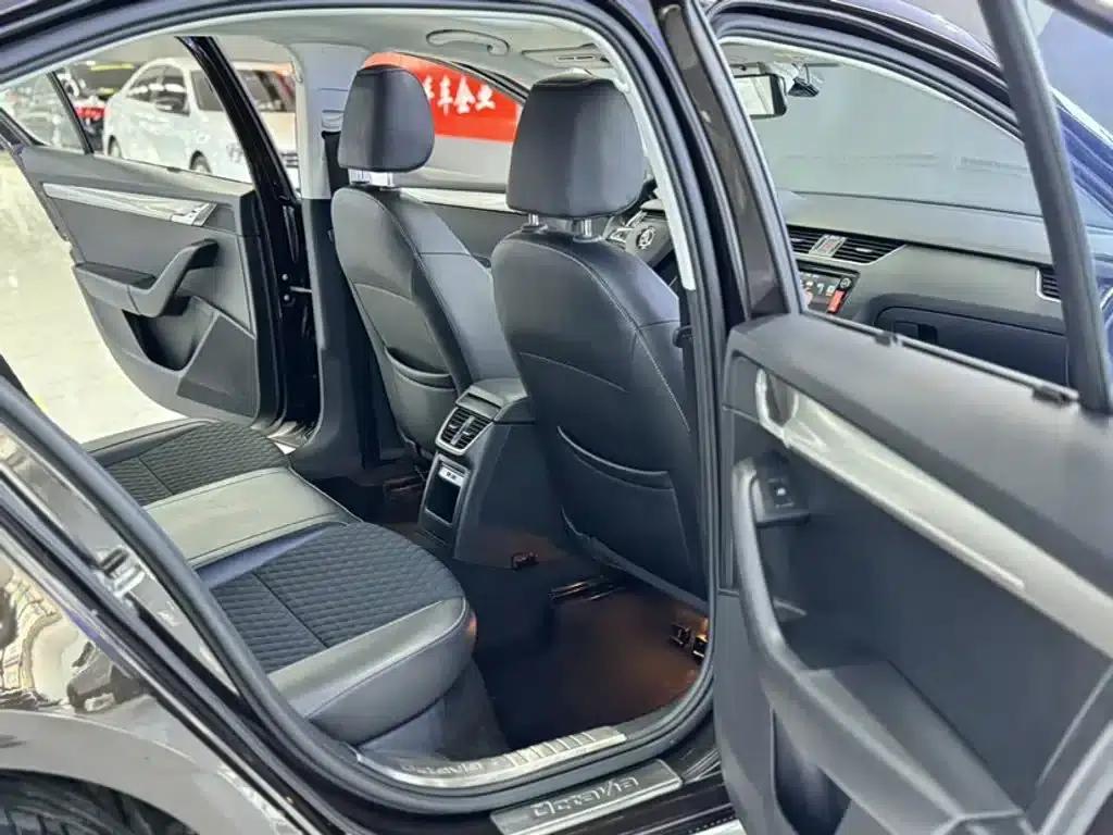 Octavia 2018 TSI280 DSG Luxury Edition — миниатюра 11