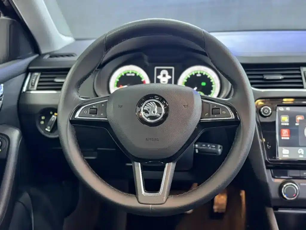 Octavia 2018 TSI280 DSG Luxury Edition — миниатюра 13