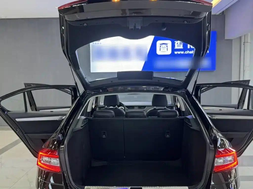 Octavia 2018 TSI280 DSG Luxury Edition — миниатюра 19