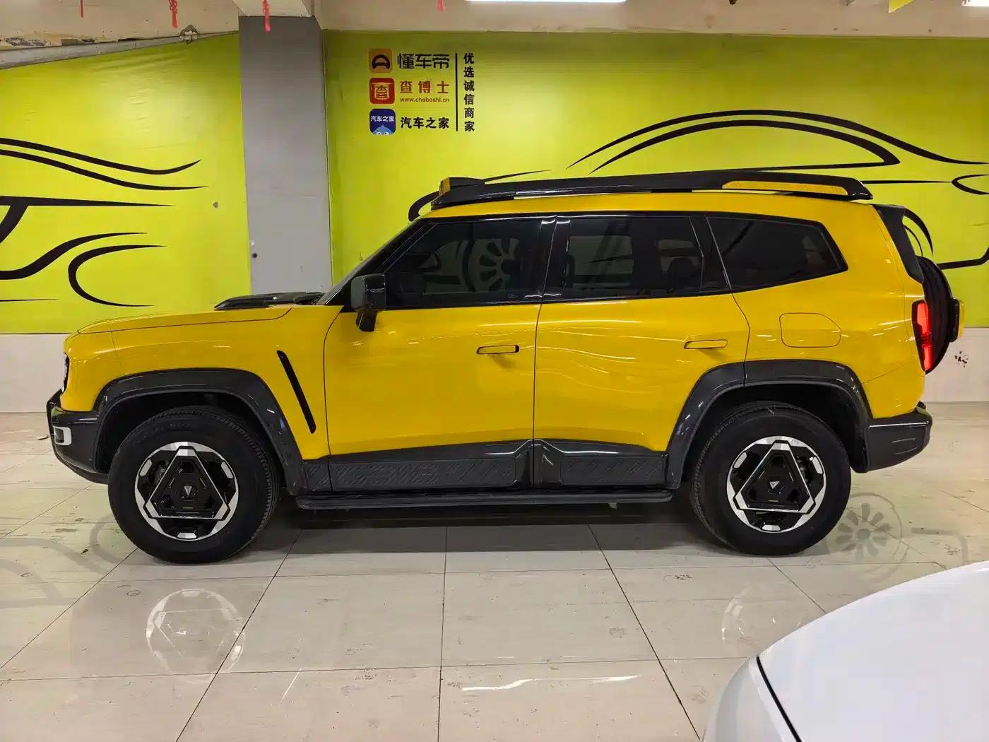 Deep Blue G318 2025 Worry-Free Off-Road Edition 4WD Mountain Edition — миниатюра 3