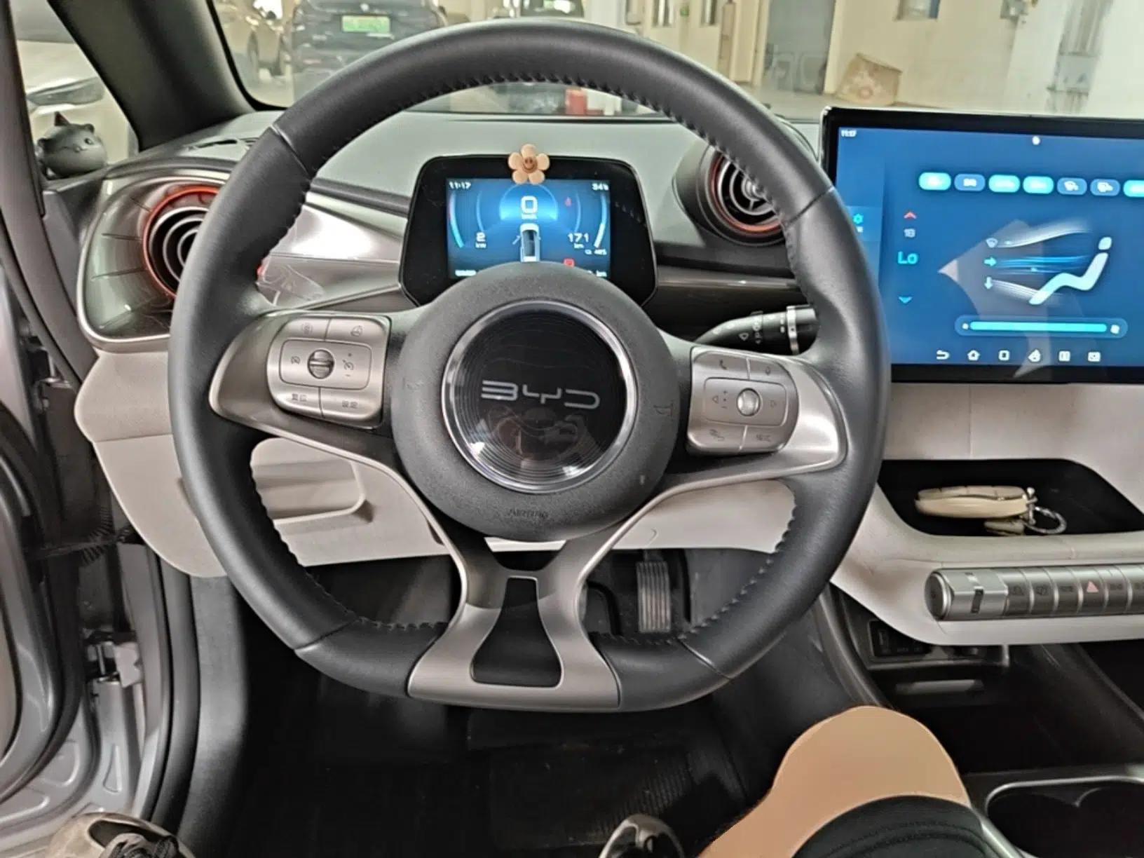 BYD Dolphin 2021 405 km Fashion Edition — миниатюра 18