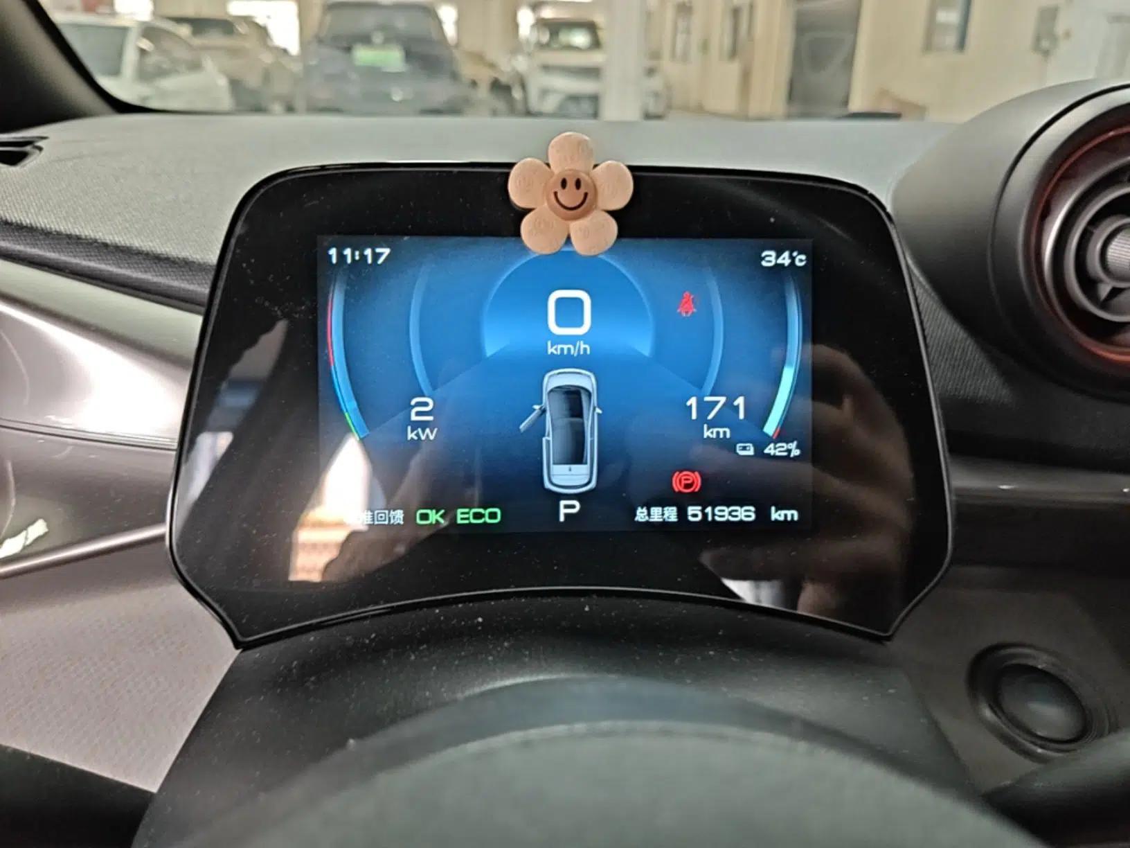 BYD Dolphin 2021 405 km Fashion Edition — миниатюра 19