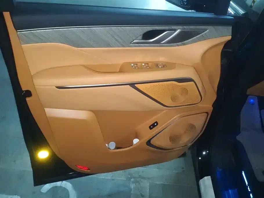 Weipai Gaoshan 2025 Model 4WD Gaoshan 8 — миниатюра 7