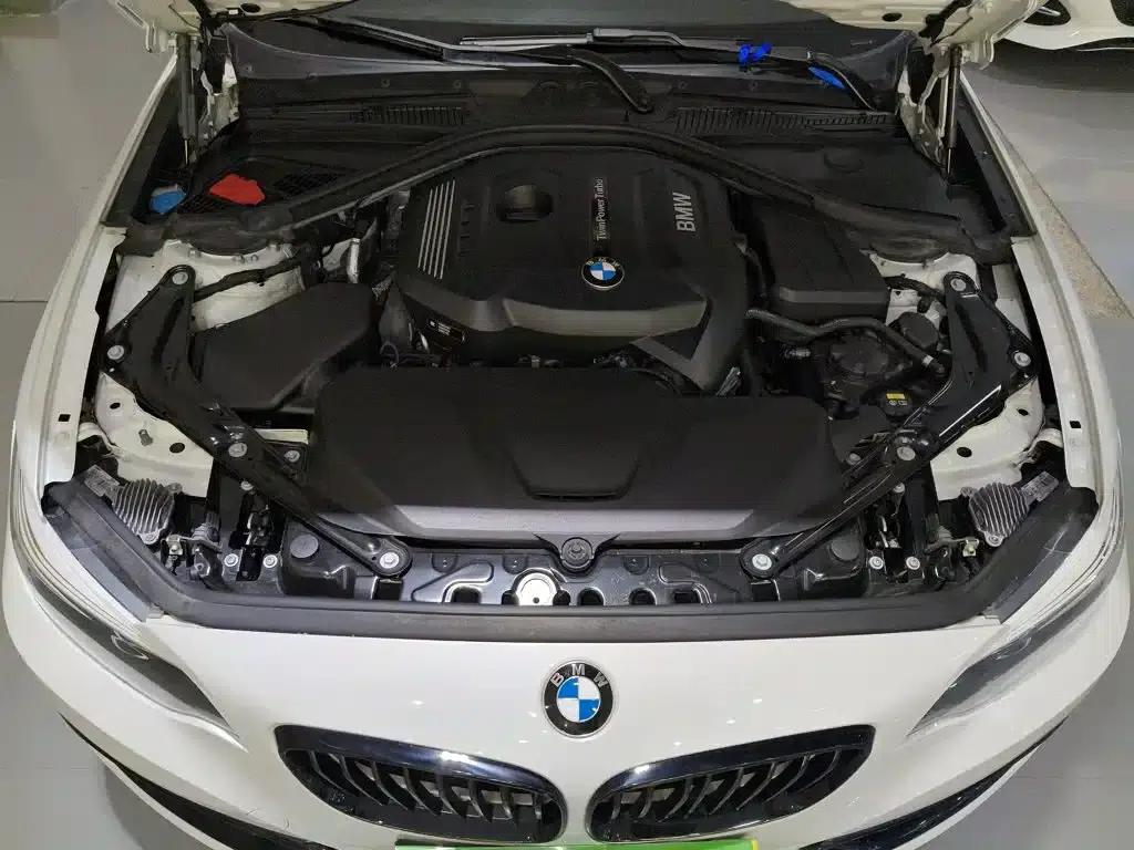 2019 BMW 2 Series (Imported) 225i Convertible Coupe Sport Design Package — миниатюра 20